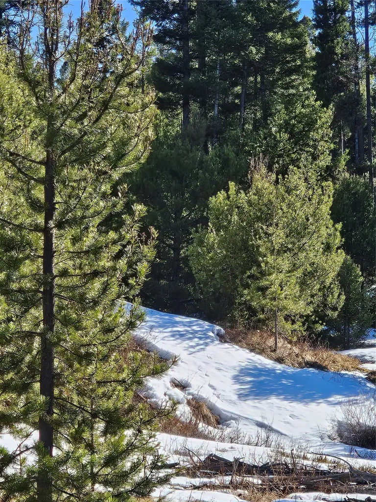 Nhn Elk Horn Road Helmville MT 59843