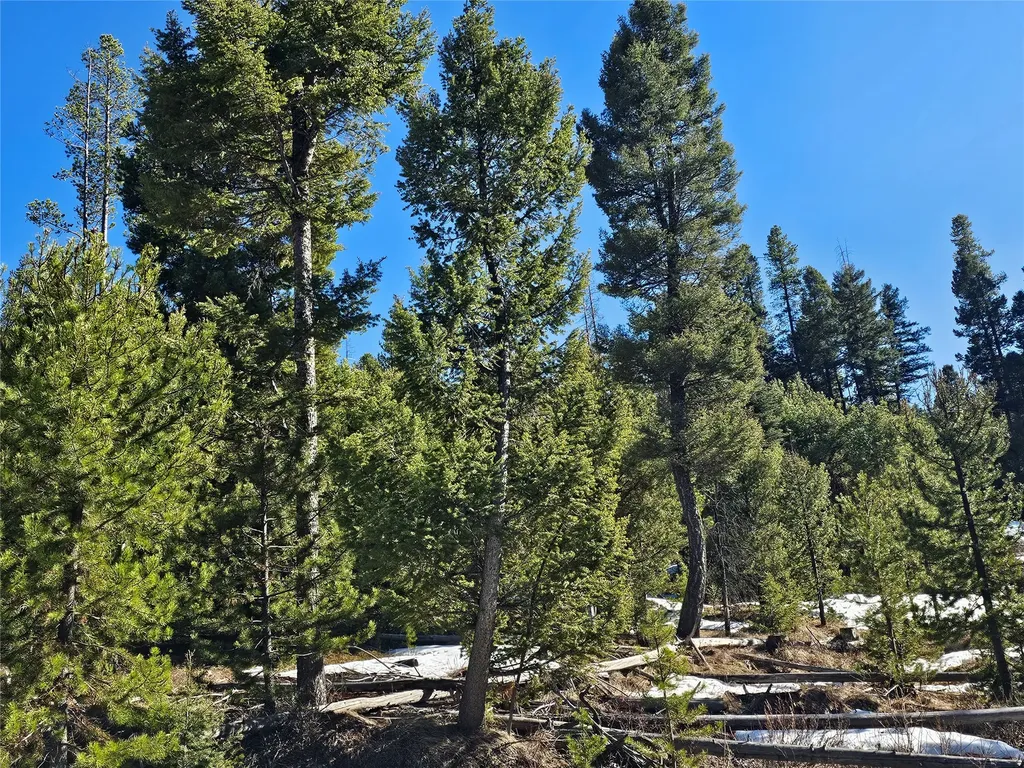 Nhn Elk Horn Road Helmville MT 59843