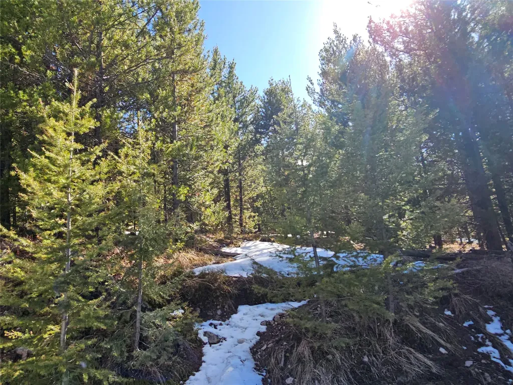 Nhn Elk Horn Road Helmville MT 59843