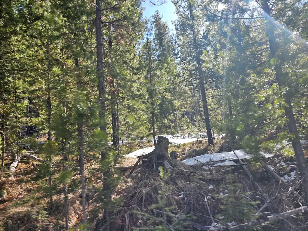 Nhn Elk Horn Road Helmville MT 59843