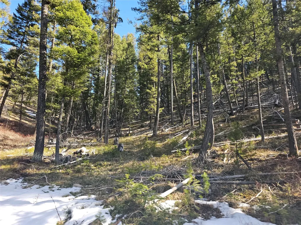 Nhn Elk Horn Road Helmville MT 59843