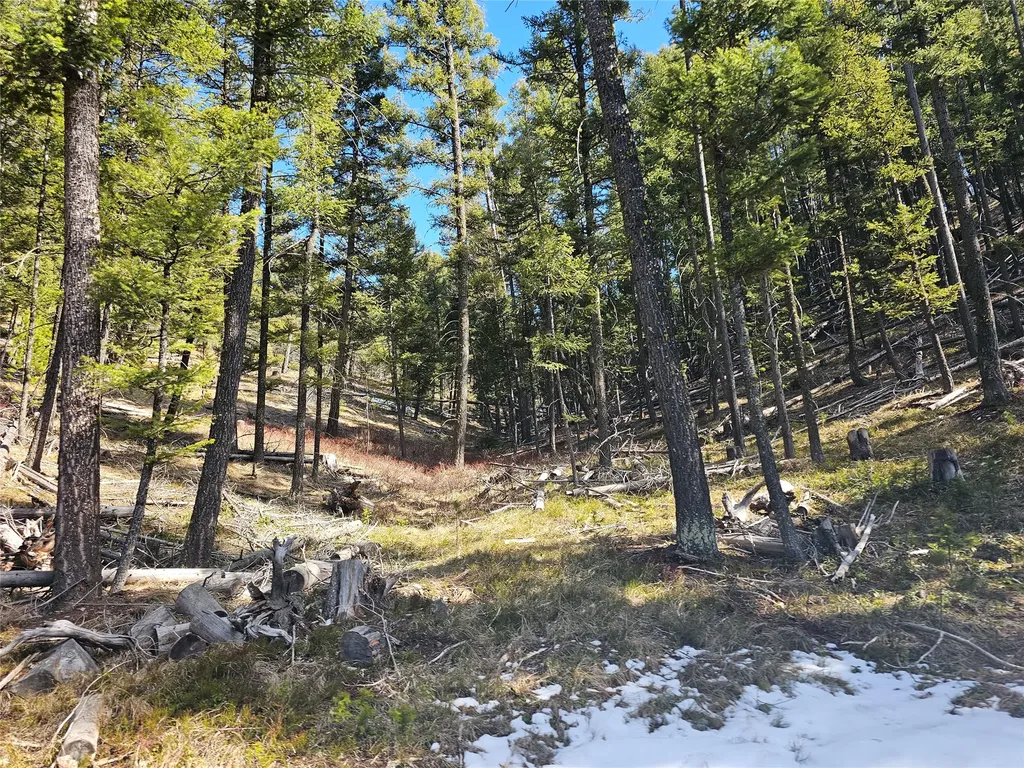 Nhn Elk Horn Road Helmville MT 59843