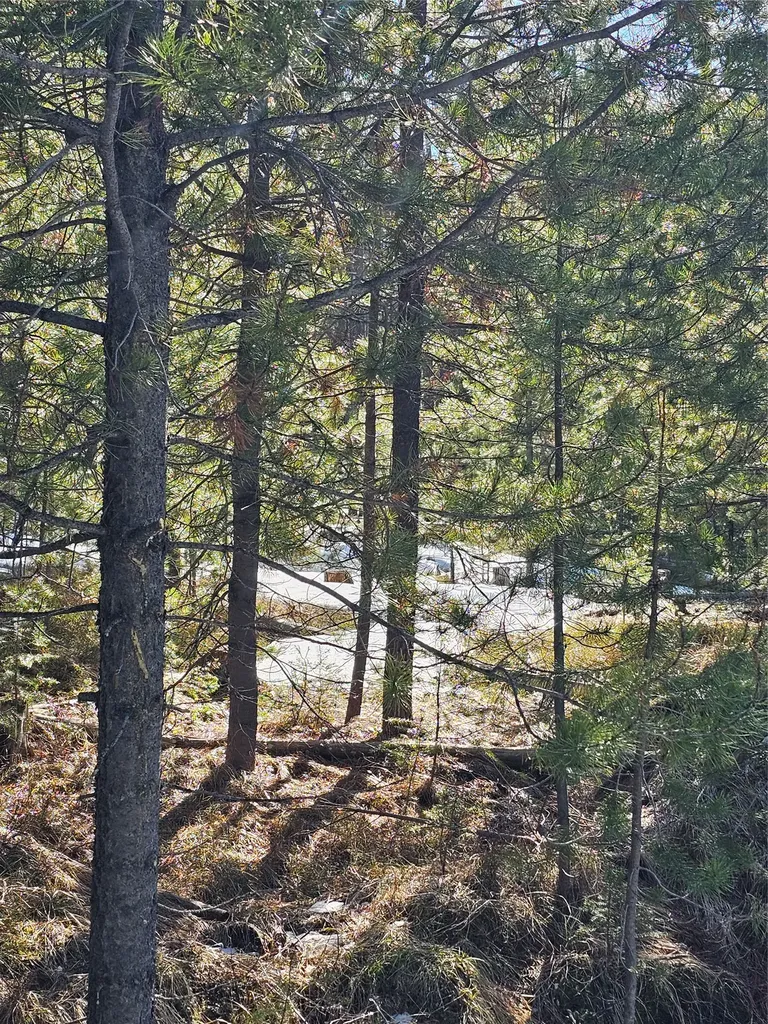 Nhn Elk Horn Road Helmville MT 59843