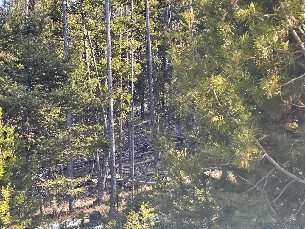 Nhn Elk Horn Road Helmville MT 59843