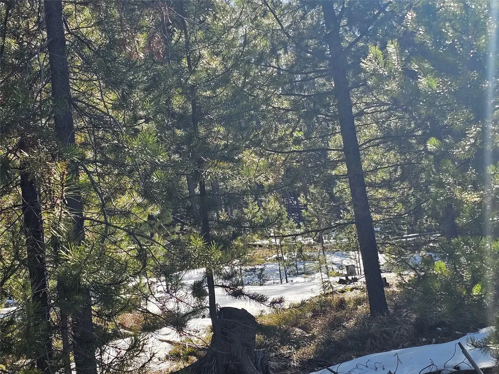 Nhn Elk Horn Road Helmville MT 59843