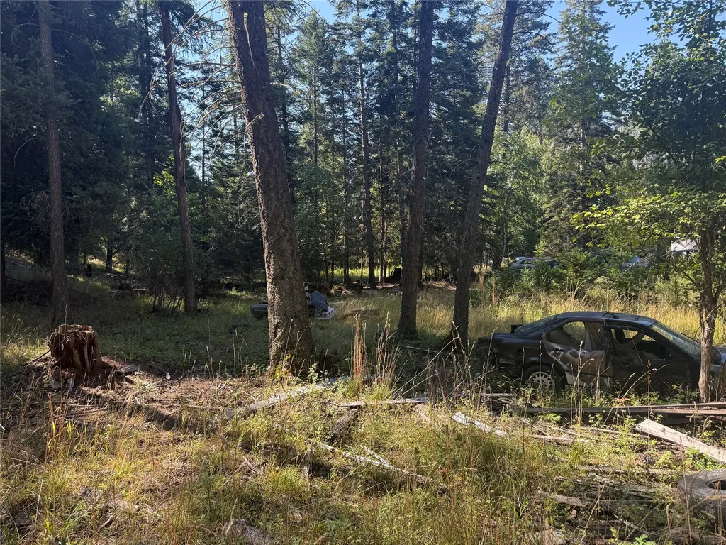 554 Swan Hill Drive Bigfork MT 59911