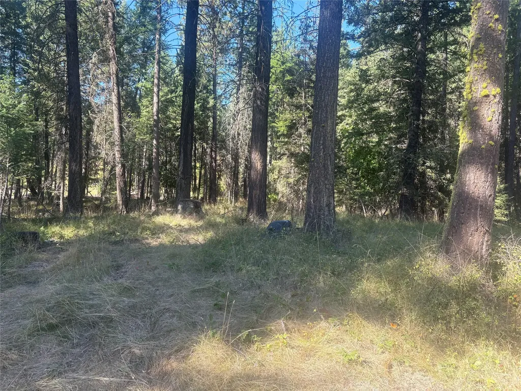 554 Swan Hill Drive Bigfork MT 59911