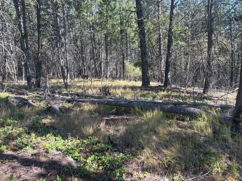 554 Swan Hill Drive Bigfork MT 59911