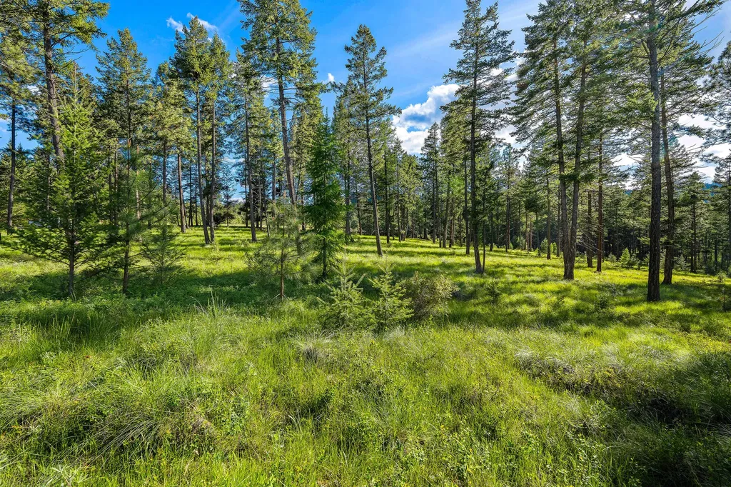 159 Looking East Drive Somers MT 59932