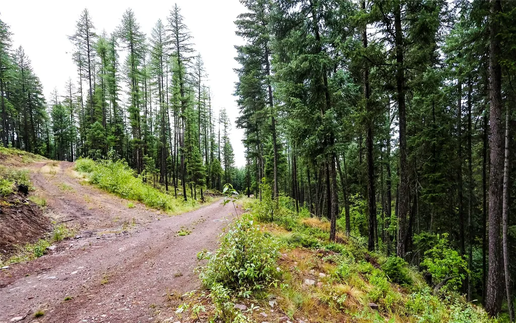 5449 Mt-83 N Seeley Lake MT 59868