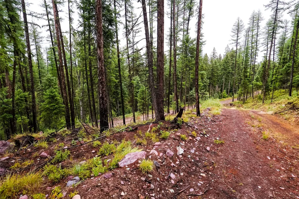5449 Mt-83 N Seeley Lake MT 59868
