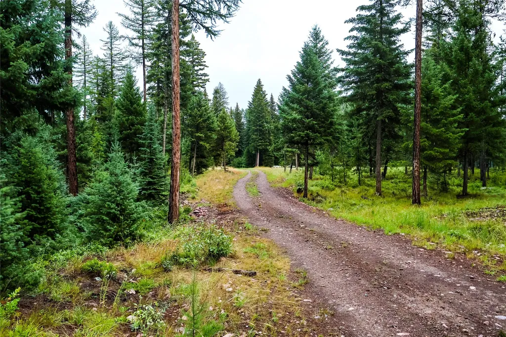 5449 Mt-83 N Seeley Lake MT 59868