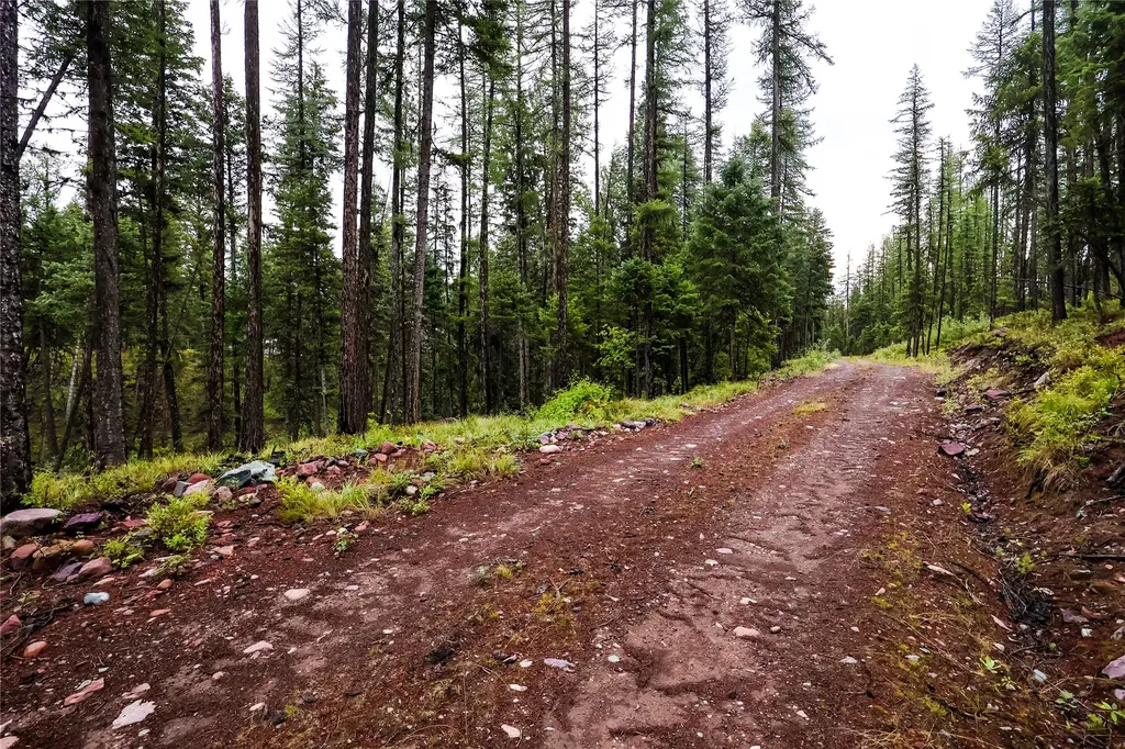5449 Mt-83 N Seeley Lake MT 59868