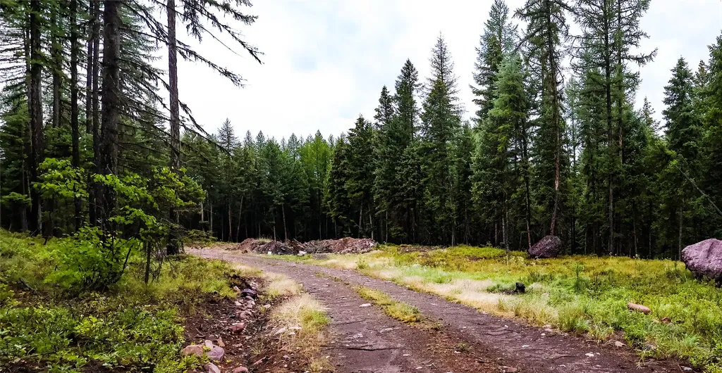 5449 Mt-83 N Seeley Lake MT 59868