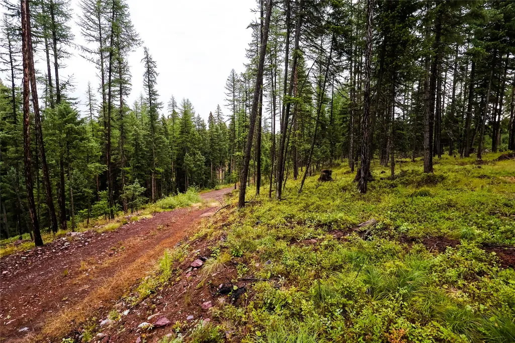 5449 Mt-83 N Seeley Lake MT 59868