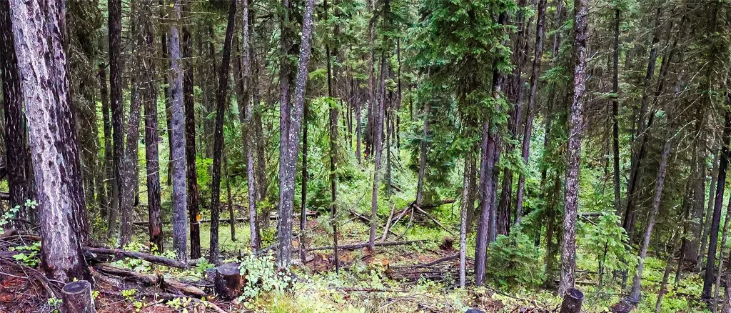 5449 Mt-83 N Seeley Lake MT 59868