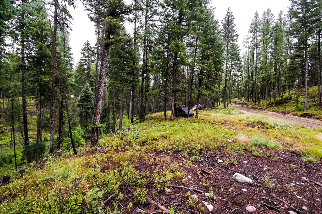 5449 Mt-83 N Seeley Lake MT 59868