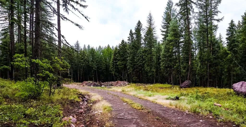 5449 Mt-83 N Seeley Lake MT 59868