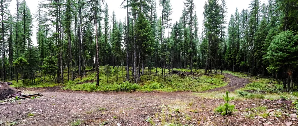 5449 Mt-83 N Seeley Lake MT 59868