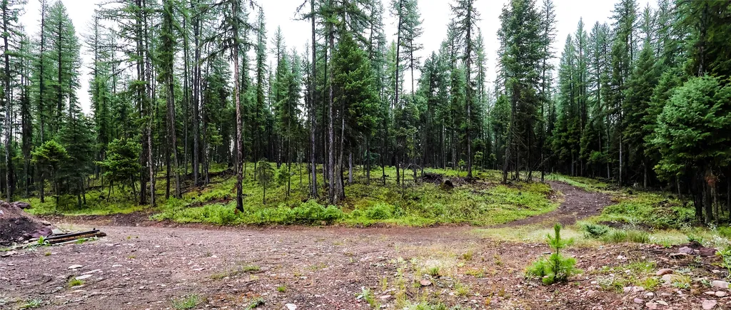 5449 Mt-83 N Seeley Lake MT 59868