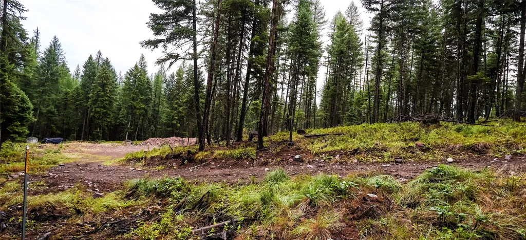 5449 Mt-83 N Seeley Lake MT 59868