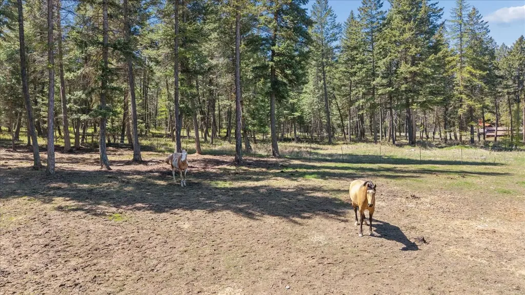 230 Mcmannamy Draw Kalispell MT 59901