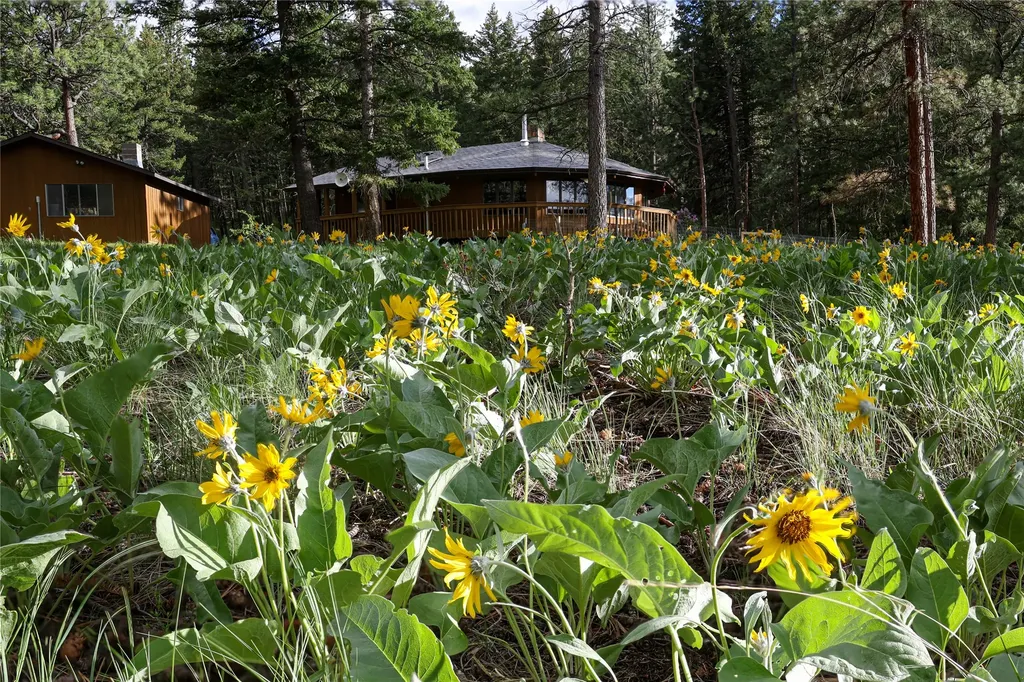 9420 Mormon Creek Road Lolo MT 59847