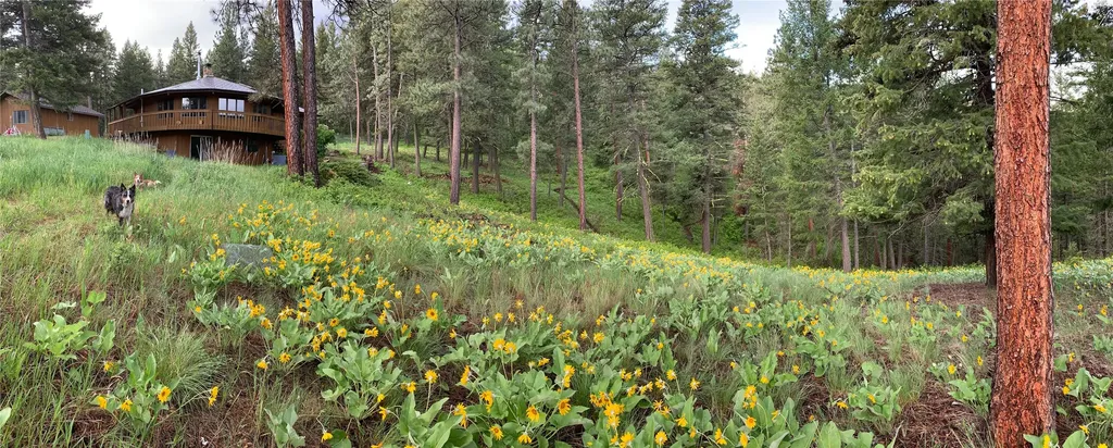 9420 Mormon Creek Road Lolo MT 59847