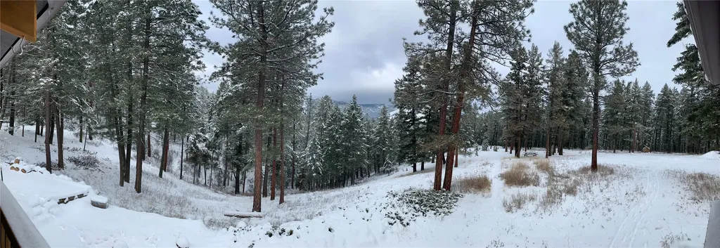 9420 Mormon Creek Road Lolo MT 59847