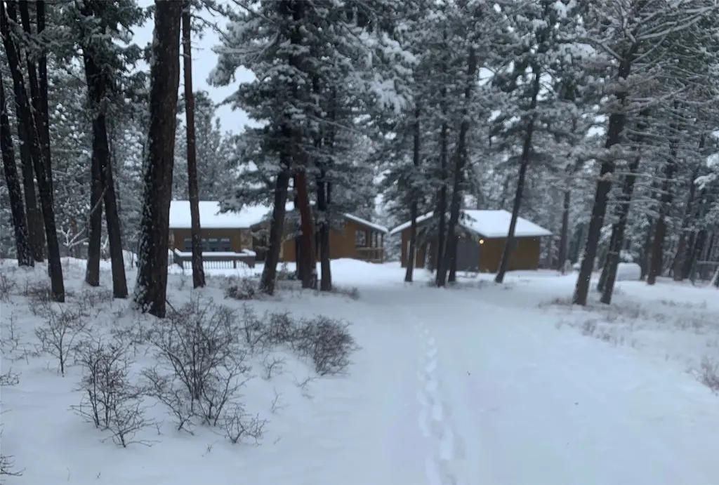 9420 Mormon Creek Road Lolo MT 59847