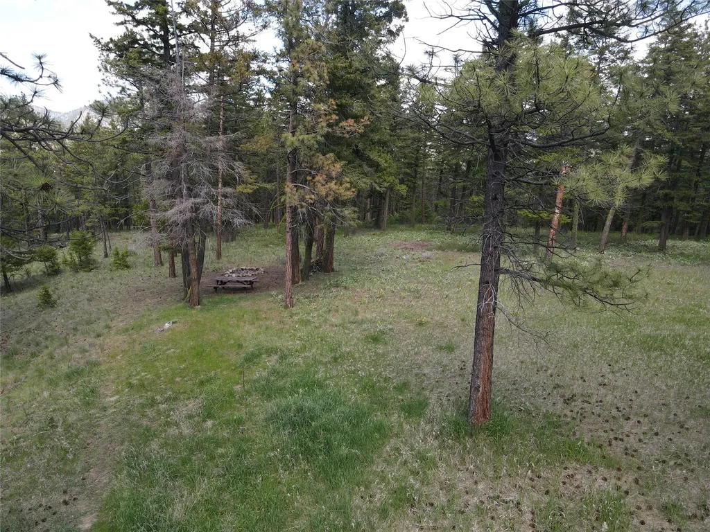 9420 Mormon Creek Road Lolo MT 59847