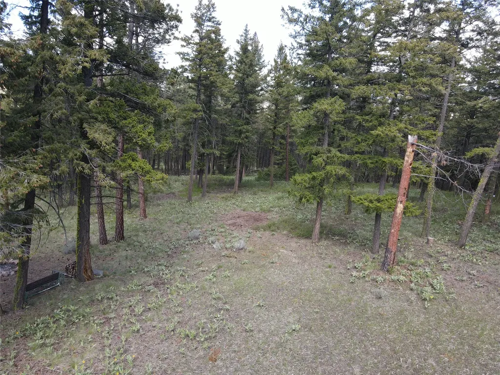 9420 Mormon Creek Road Lolo MT 59847