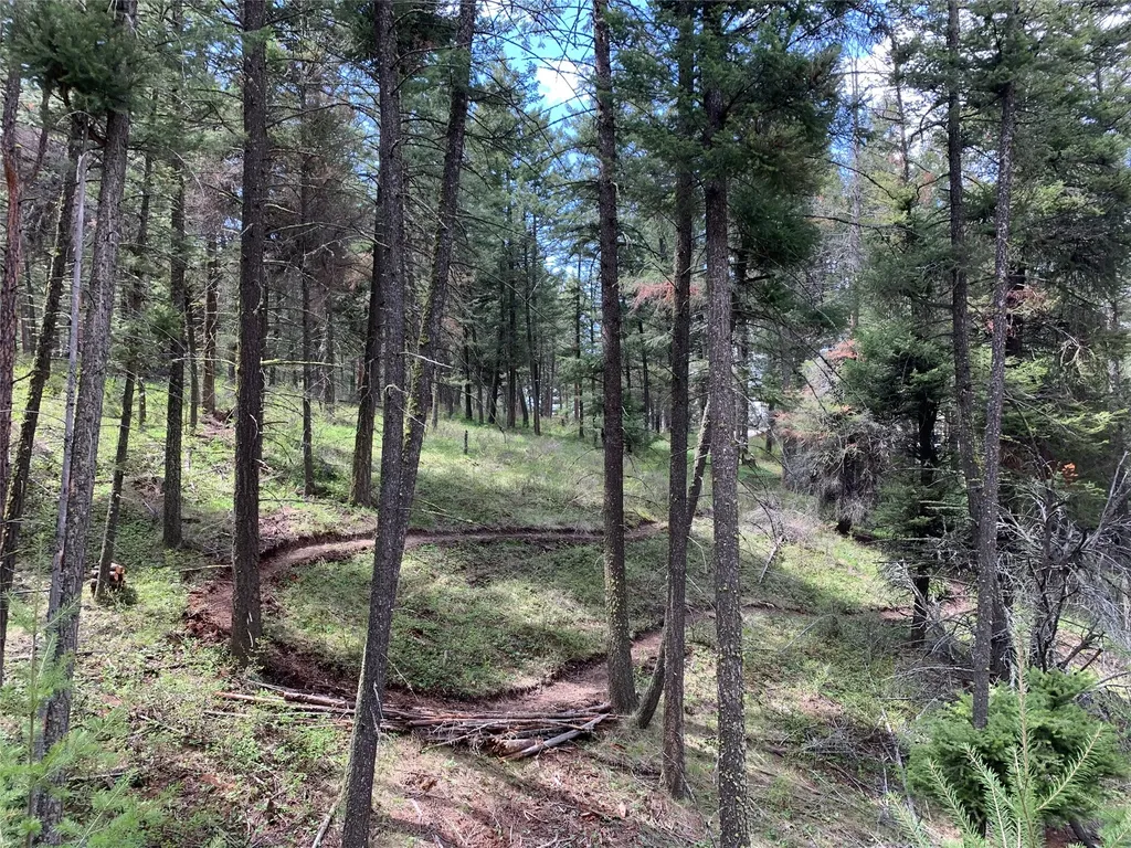 9420 Mormon Creek Road Lolo MT 59847