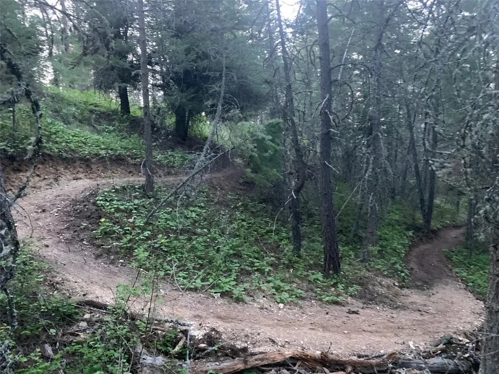 9420 Mormon Creek Road Lolo MT 59847