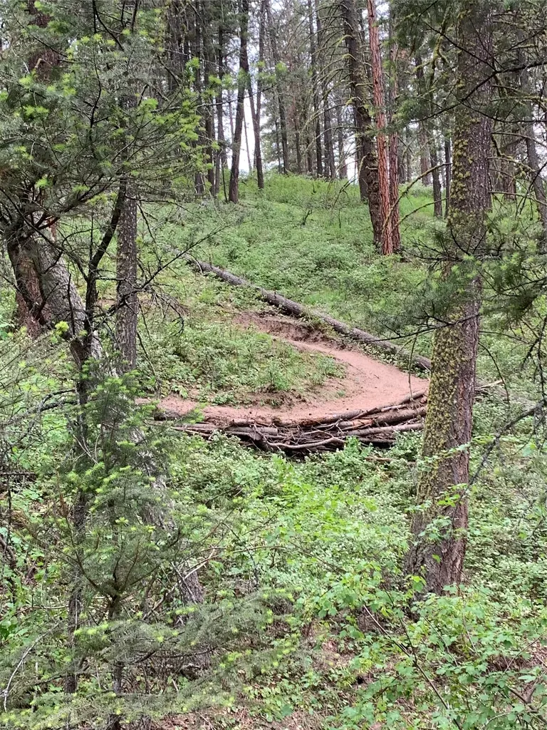 9420 Mormon Creek Road Lolo MT 59847