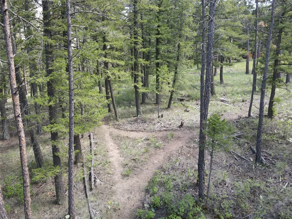 9420 Mormon Creek Road Lolo MT 59847