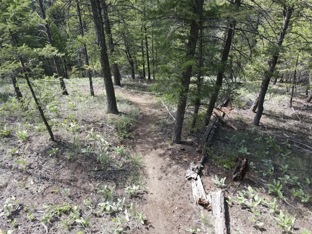 9420 Mormon Creek Road Lolo MT 59847