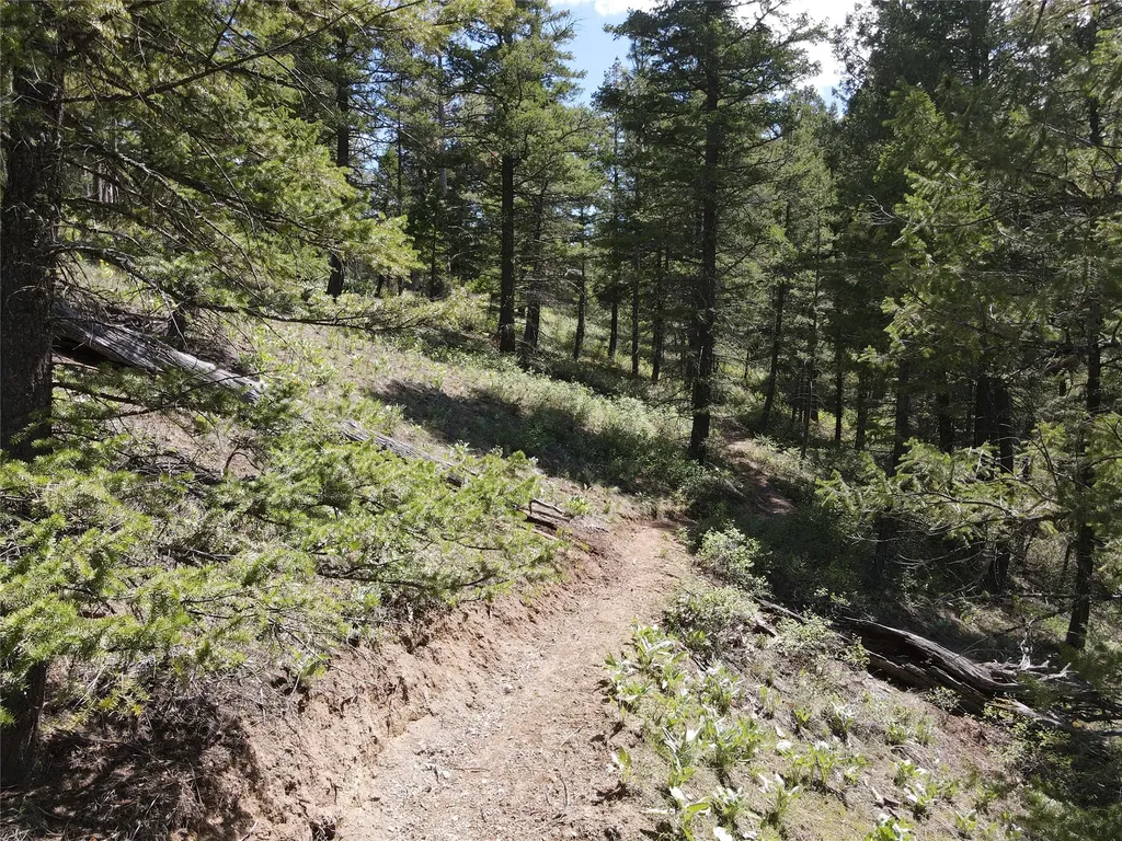 9420 Mormon Creek Road Lolo MT 59847