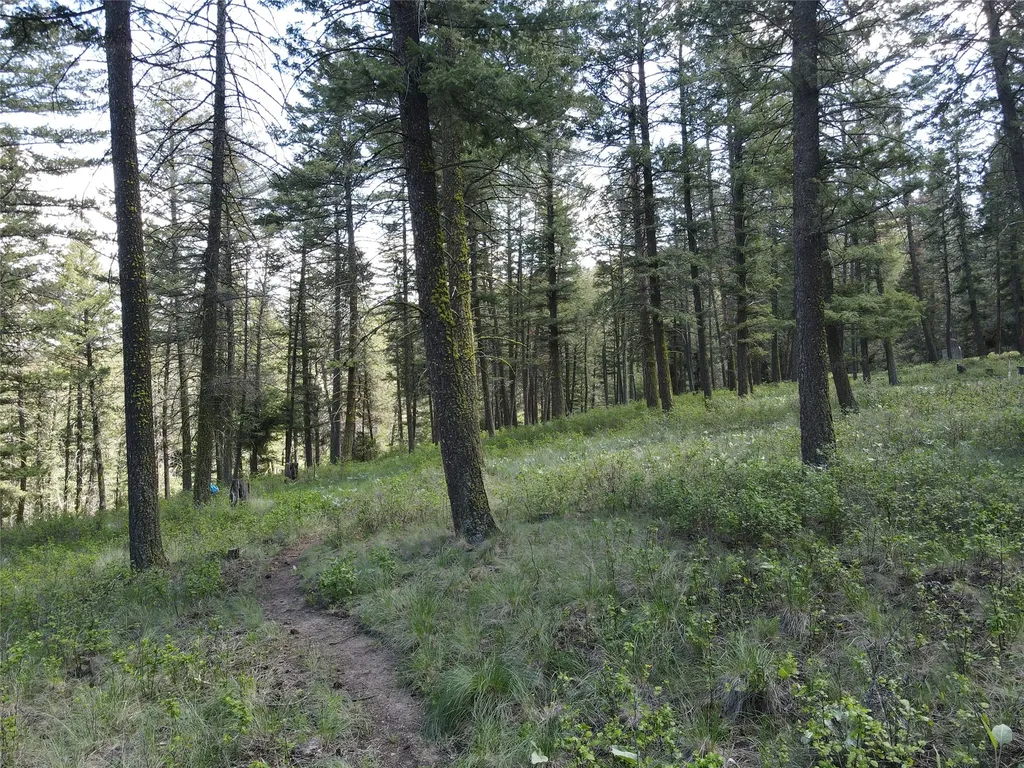 9420 Mormon Creek Road Lolo MT 59847