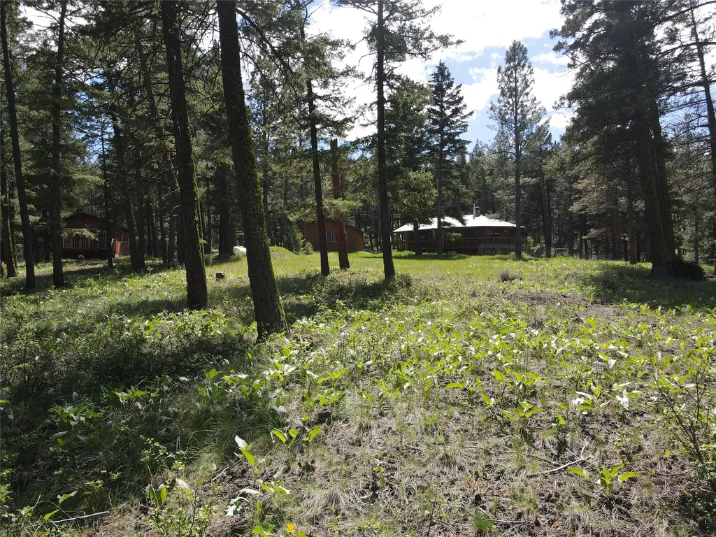 9420 Mormon Creek Road Lolo MT 59847