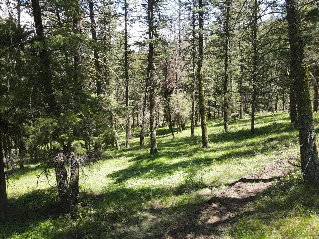 9420 Mormon Creek Road Lolo MT 59847