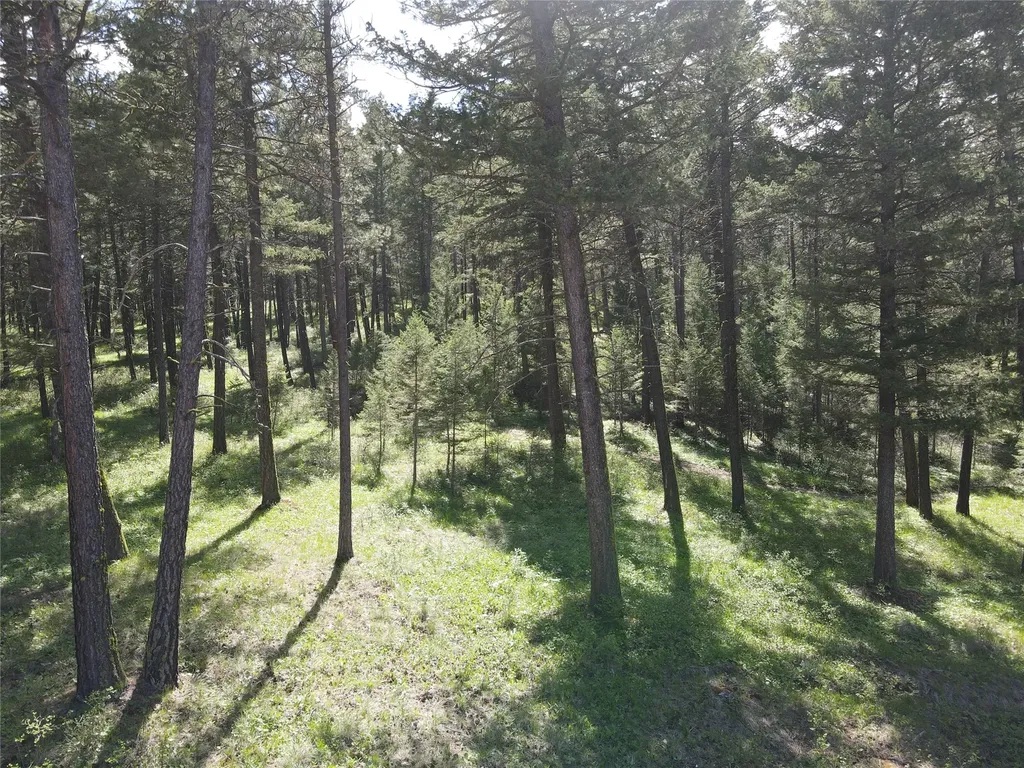 9420 Mormon Creek Road Lolo MT 59847