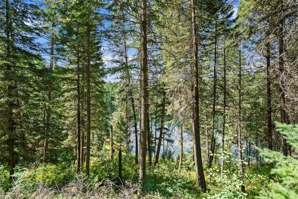 169 Double Lake Lane Kalispell MT 59901