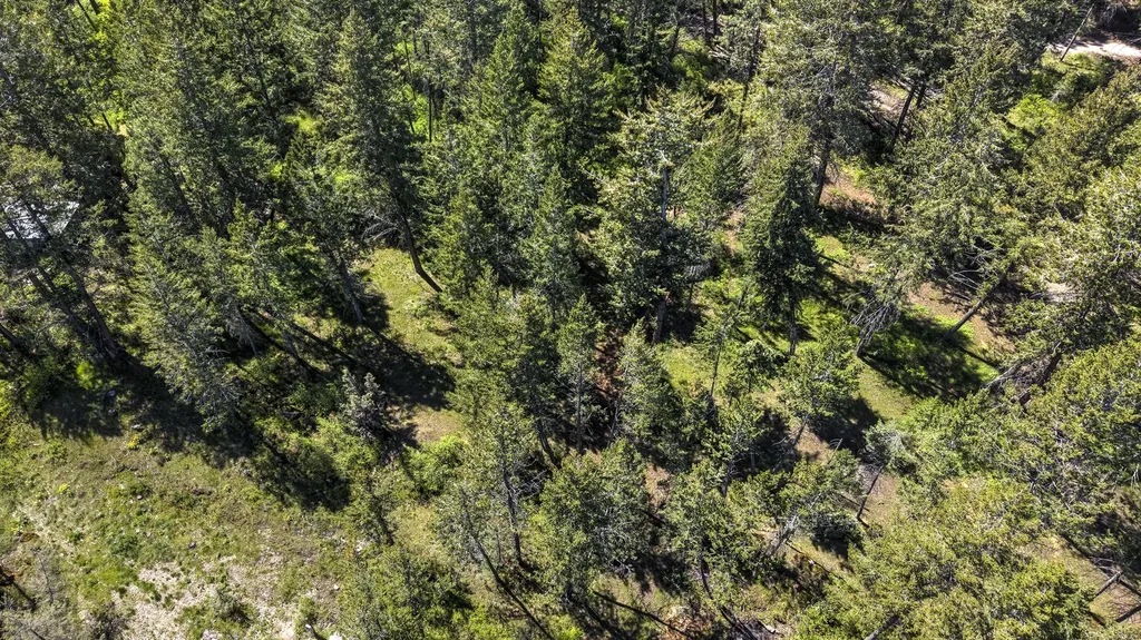 28036 White Swan Lane Polson MT 59860