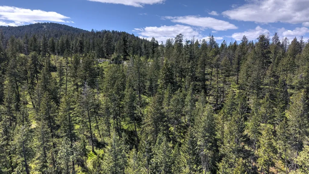 28036 White Swan Lane Polson MT 59860