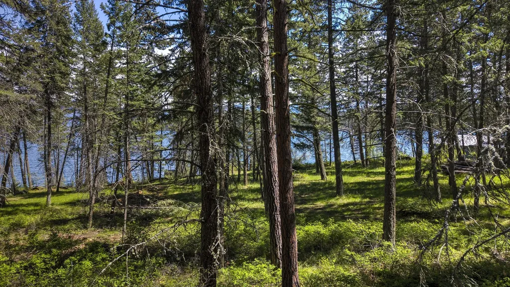 28036 White Swan Lane Polson MT 59860