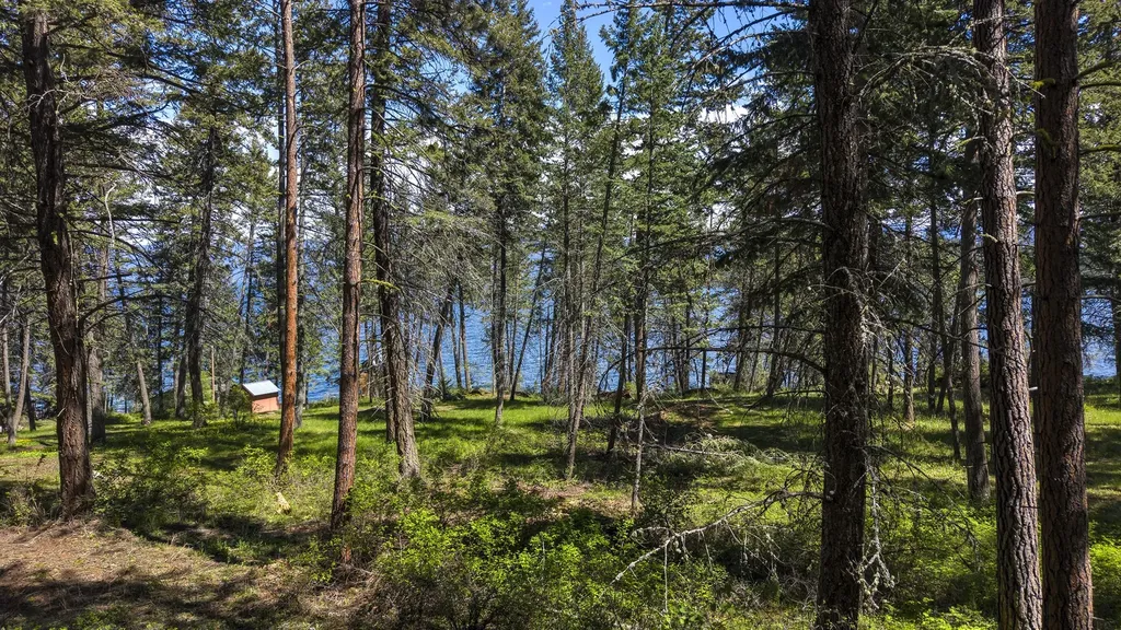 28036 White Swan Lane Polson MT 59860