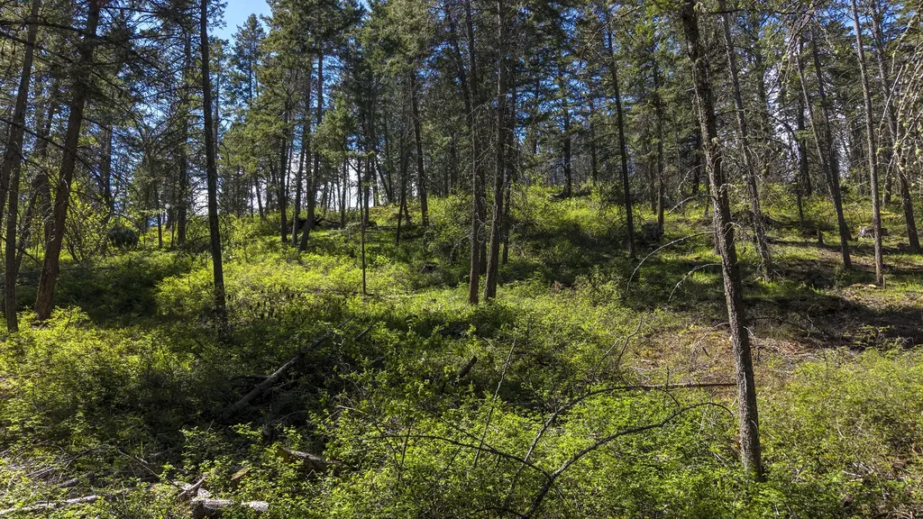 28036 White Swan Lane Polson MT 59860