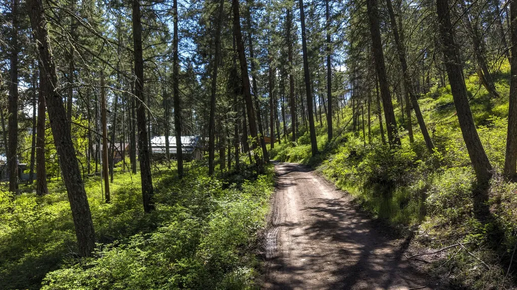 28036 White Swan Lane Polson MT 59860