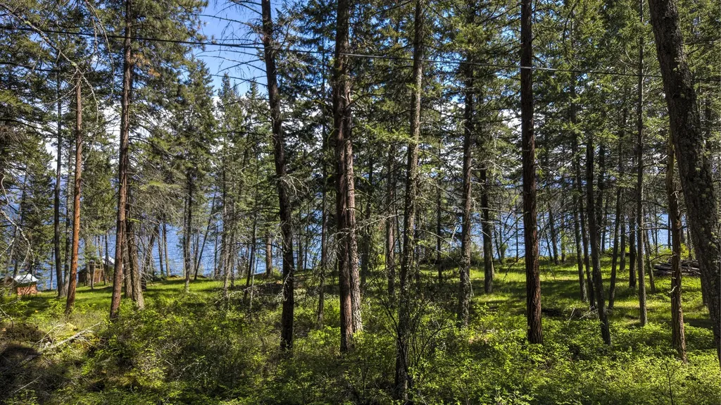 28036 White Swan Lane Polson MT 59860